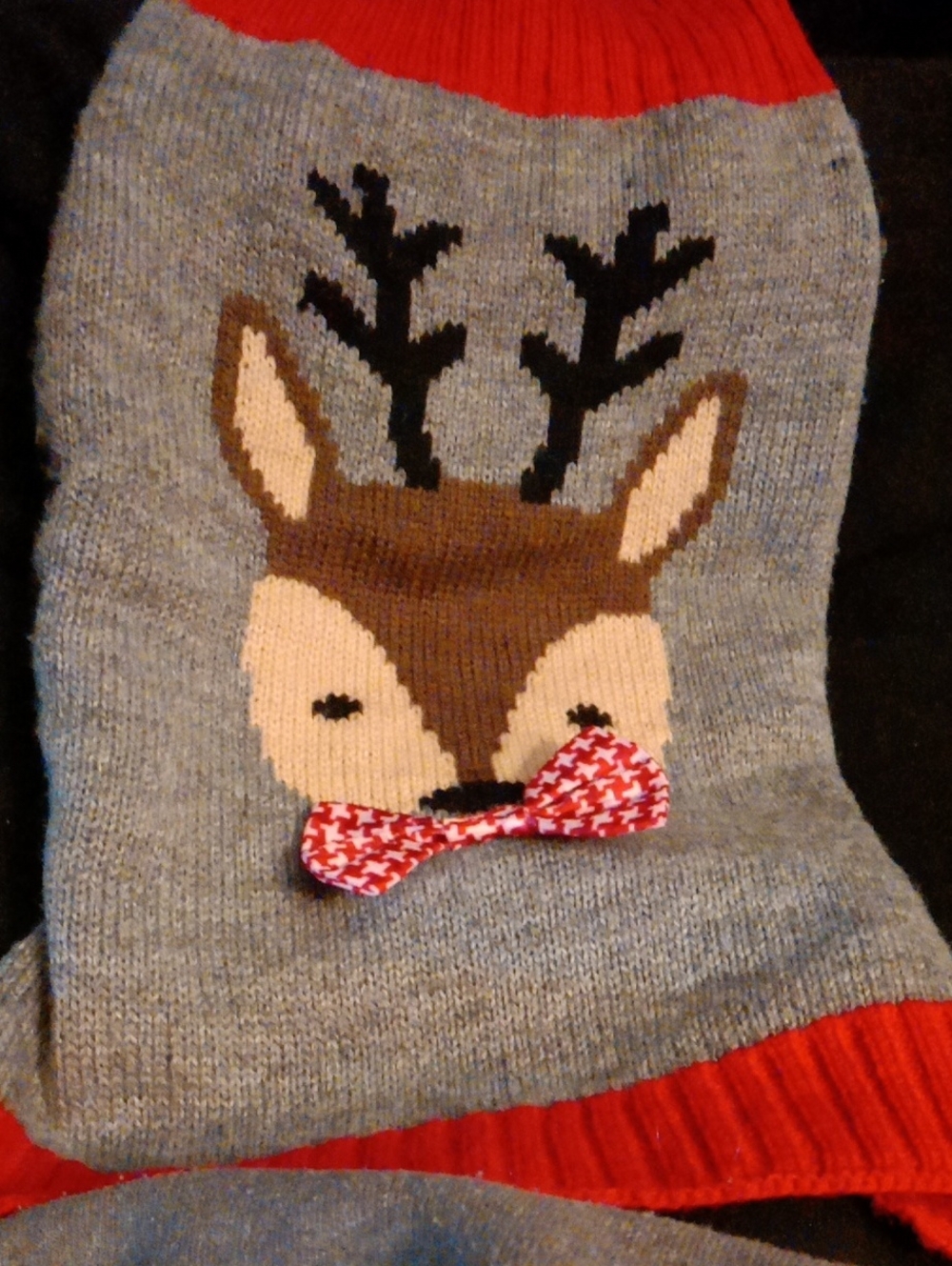 Dog Reindeer Knit Sweater with Red Trim/M